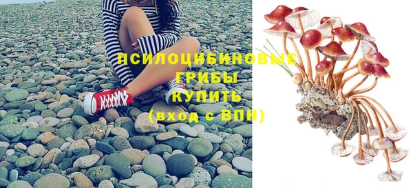прущий лед Арсеньев